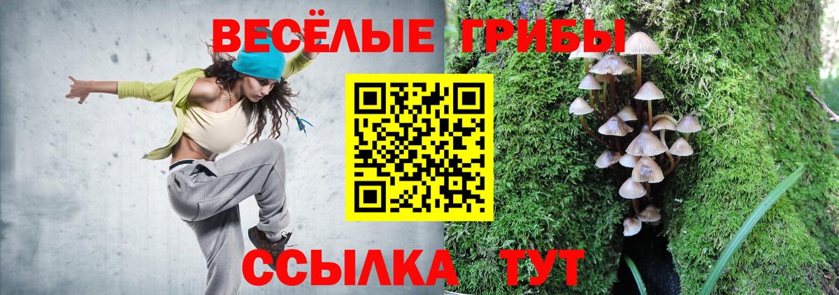 Галлюциногенные грибы MAGIC MUSHROOMS Ирбит