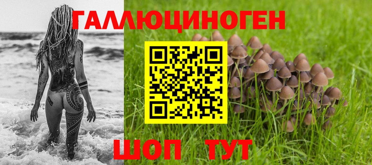 Галлюциногенные грибы прущие грибы  Вход с VPN  Ирбит  Галлюциногенные грибы Psilocybe 